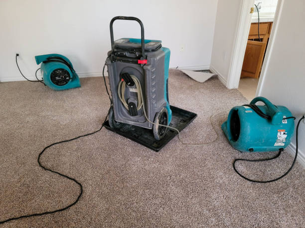 Best 24/7 water damage repair  in Blue Point, NY
