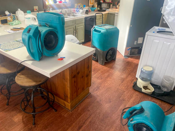Best 24-hour water damage restoration  in Blue Point, NY