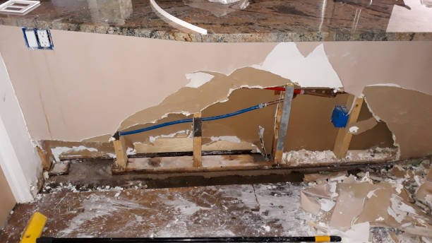 Best Basement water damage restoration  in Blue Point, NY