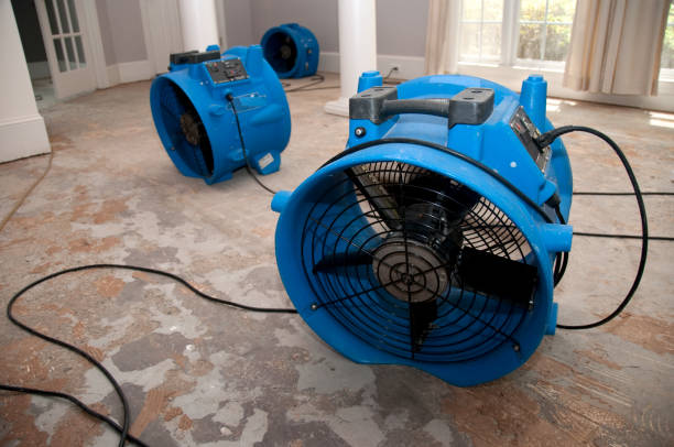 24/7 water damage repair in Blue Point, NY