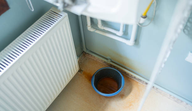 Best Water damage contractors near me  in Blue Point, NY