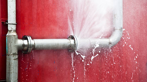 Best Flood restoration services  in Blue Point, NY