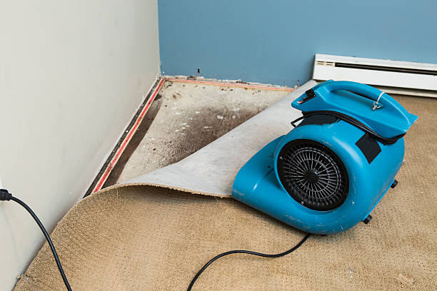 Best Water damage restoration near me  in Blue Point, NY